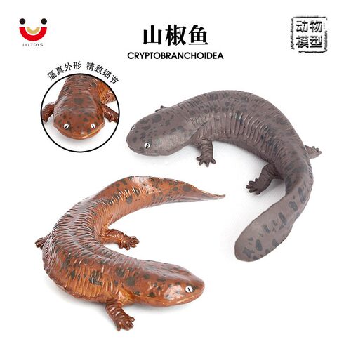 仿真两栖实心静态娃娃鱼山椒鱼大鲵儿童认知玩具沙盘摆件动物模型