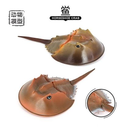 海底生物仿真海洋动物中华鲎玩具实心塑胶儿童认知男生礼物模型