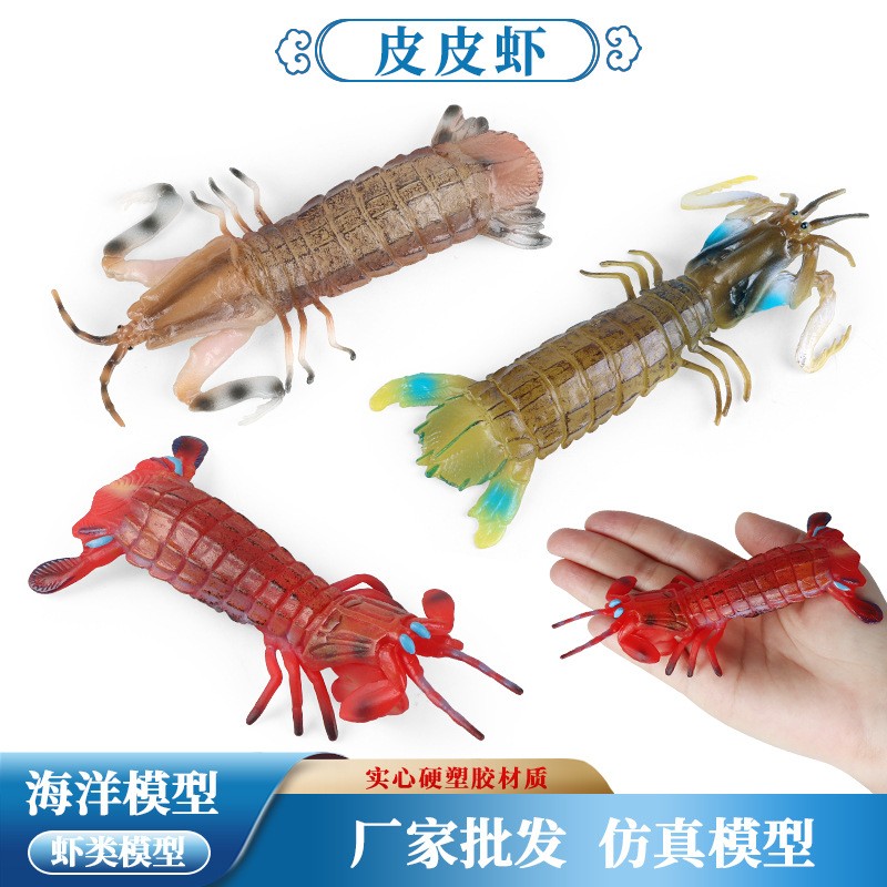 儿童蒙氏教具仿真海洋生物动物模型玩具皮皮虾虾姑濑尿虾玩具摆件