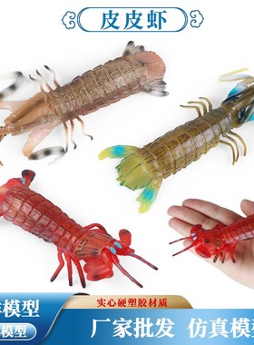 儿童蒙氏教具仿真海洋生物动物模型玩具皮皮虾虾姑濑尿虾玩具摆件