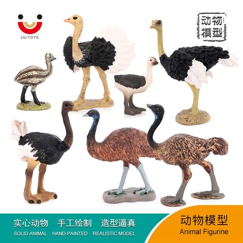 儿童实心动物模型非洲鸵鸟鸸鹋走禽鸟类仿真动物玩具认知礼物摆件