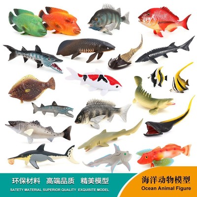 海洋生物模型苏眉鱼红鲷鱼