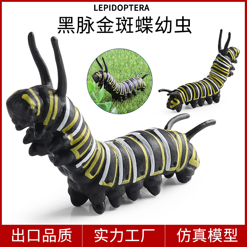 儿童毛毛虫模型蝴蝶幼虫
