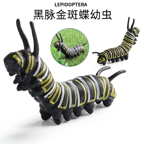 儿童毛毛虫模型蝴蝶幼虫