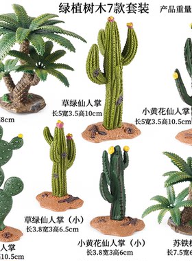 仿真猴面包树仙人掌铁树微景观