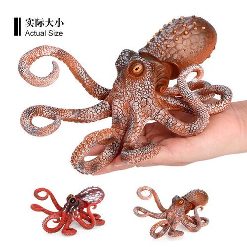 儿童仿真实心海洋动物模型