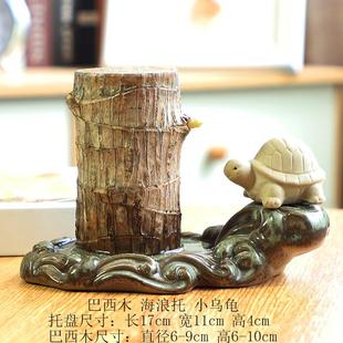 迷你室内四季常青水养盆栽绿植水培巴西木幸运木含陶瓷花盆小摆件