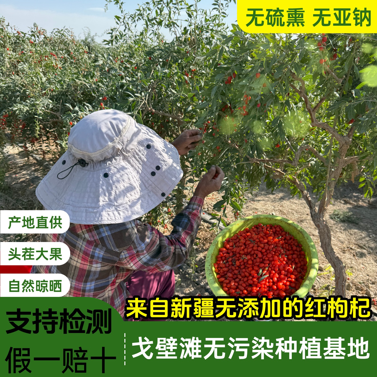 新疆天然红枸杞头茬大果自然晾晒无硫熏无亚钠无添加孕妇红枸杞
