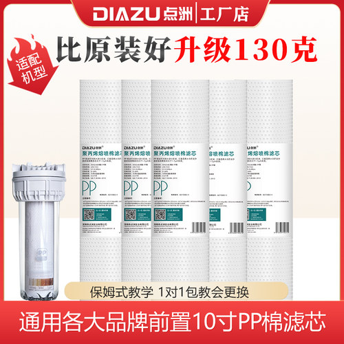 点洲净水器滤芯适配沁园前置伴侣