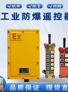 起重机防爆遥控器无线防爆遥控器BYS-100S BF21/BF24-12D新黎明