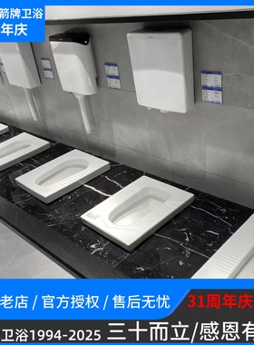 ARROW/箭牌蹲便器蹲坑式蹲厕大便池冲水箱便盆家用厕所防臭卫生间