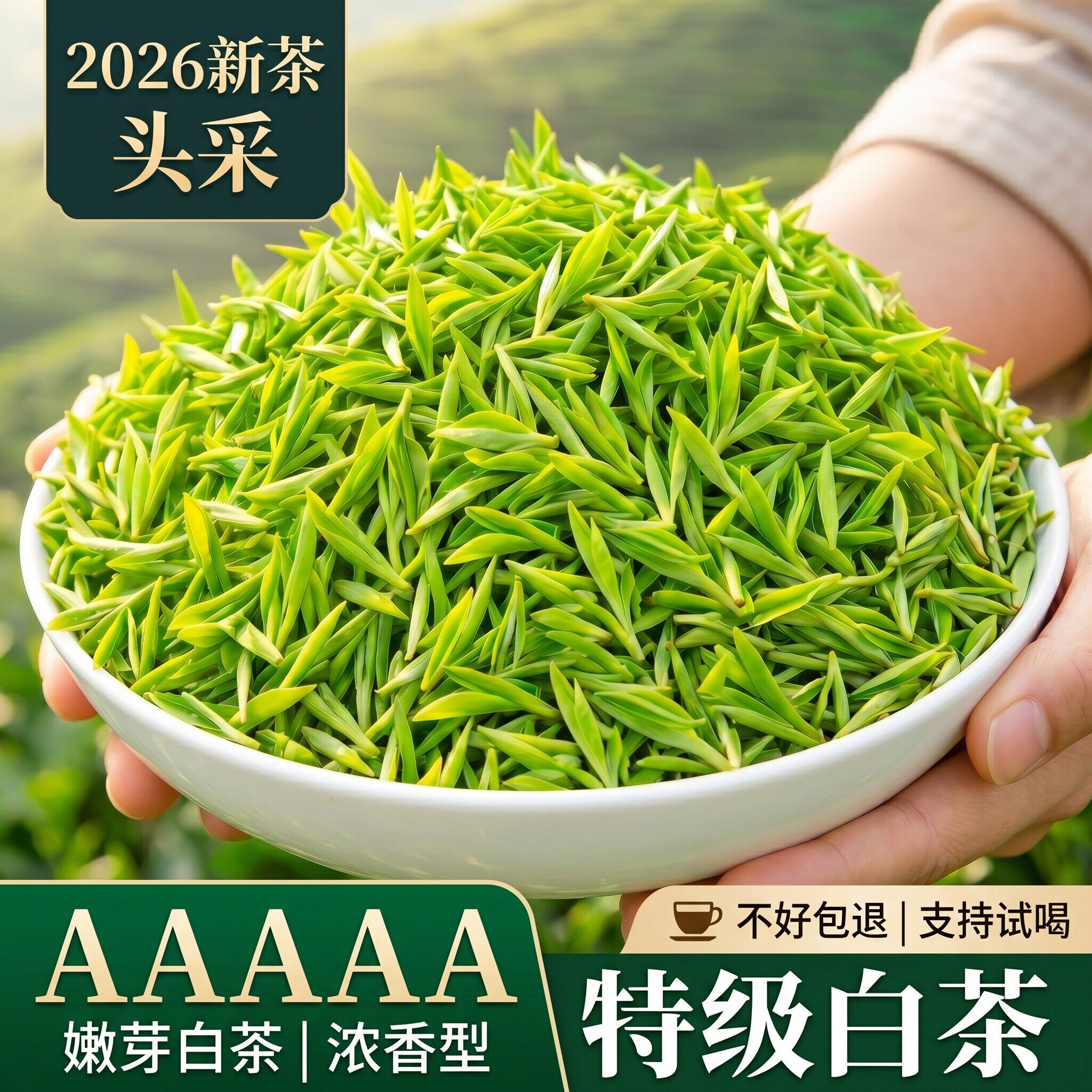 【嫩芽白茶】安吉产2026新茶一芽一叶头春头采高山特级耐泡绿茶