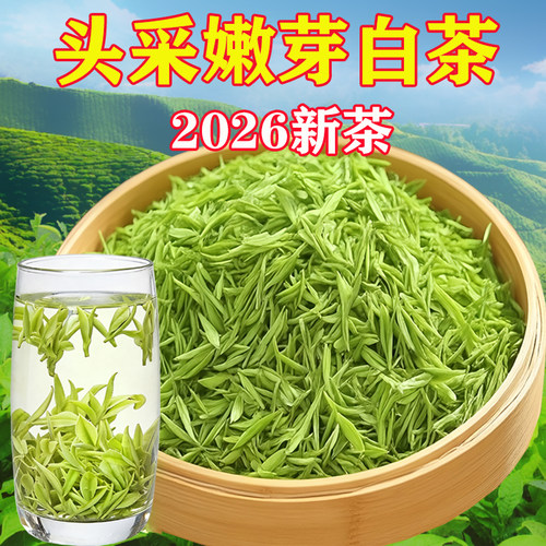 2026明前头采嫩芽安吉云顶白茶