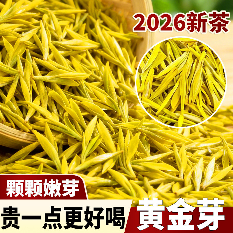 黄金芽头采小嫩芽高端绿茶正宗明前春茶浓香耐泡板栗香自己喝送礼