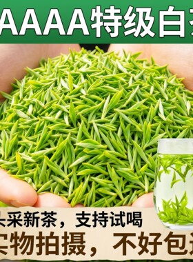 2026明前安吉云顶头采全芽白茶