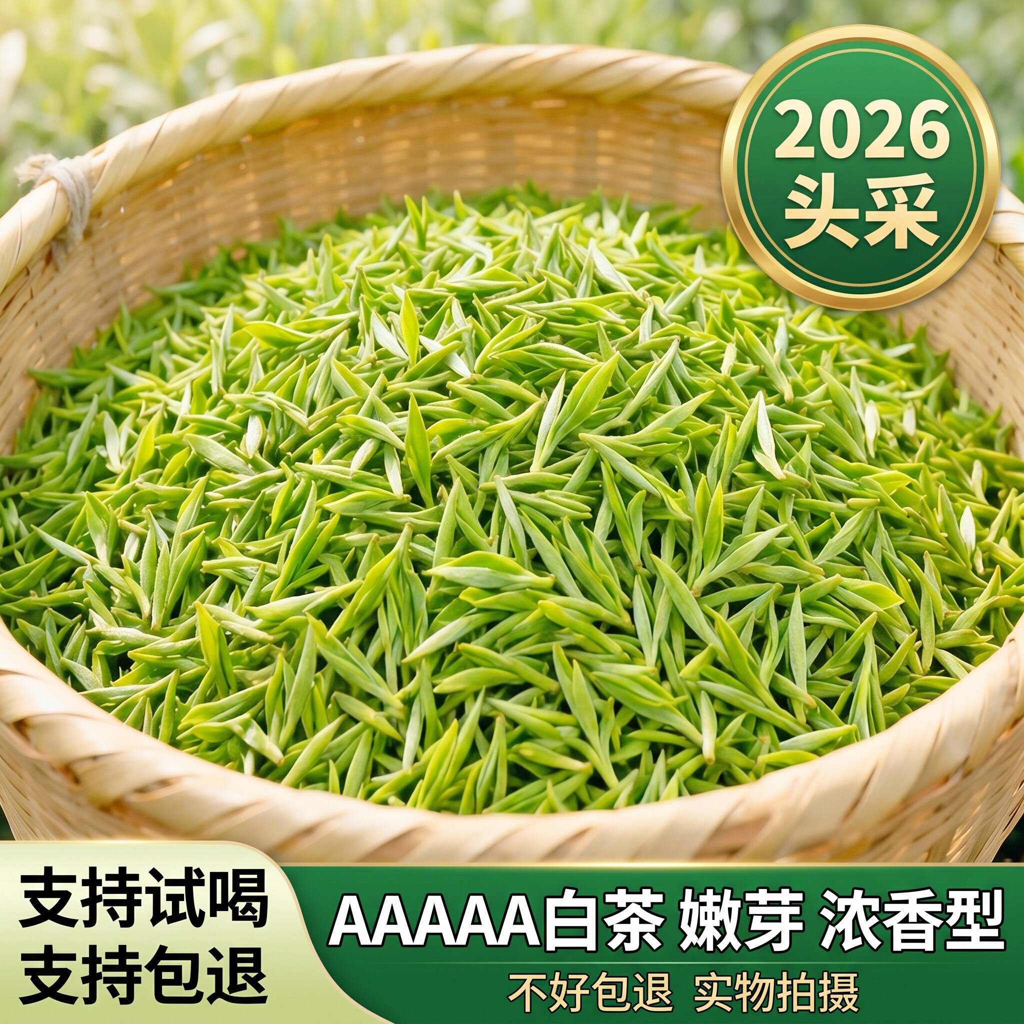【头采嫩芽白茶】一芽一叶2026新茶安吉产特级兰花香耐泡绿茶批发