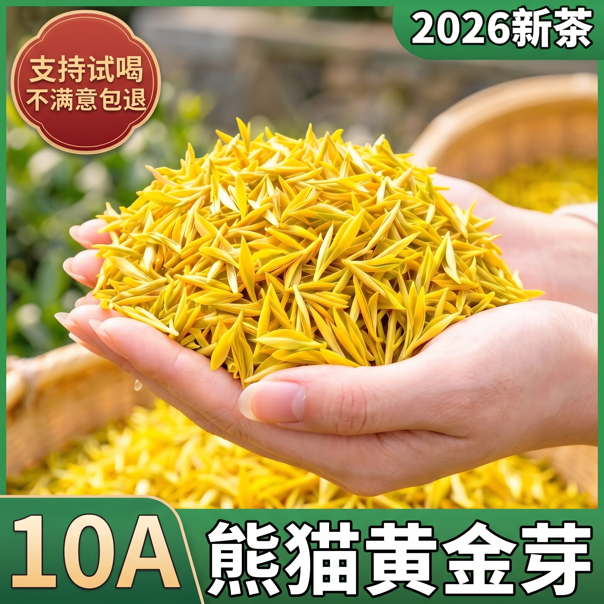 【一芽一叶甄选】2026新茶黄金芽嫩芽特级安吉产栗香散装自己喝