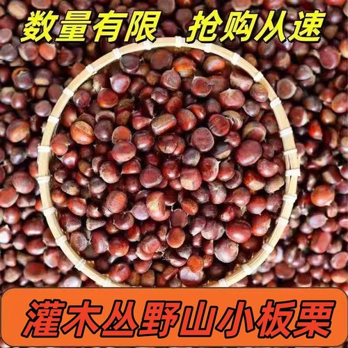 野山小板栗今年新货新鲜板栗子小油栗高山农家老品种鲜板栗生板栗