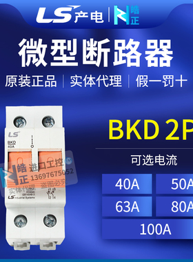 原装正品LS产电隔离开关BKD 2P 40A,50A,63A,80A,100A微型断路器