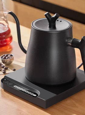 Electric Kettle, Gooseneck Temperature Control Quick Heating