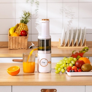 Slow Juicer Masticating Machines Vegetabl Cold Fruits Press