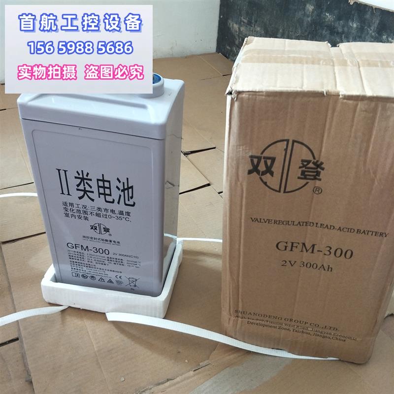 议价双登GFM300蓄电池 2V300AH UPS/直流屏应急设议价