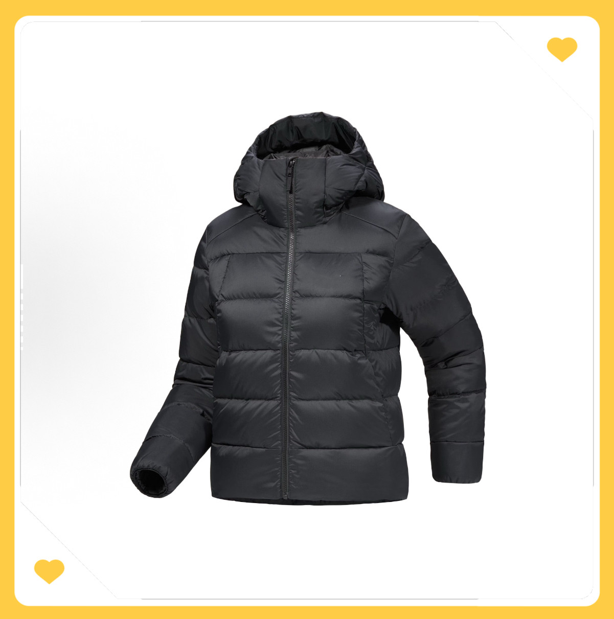 【户外系列】排骨女款冬季新款户外运动休闲保暖棉服防风防水连帽,户外/登山/野营/旅行用品,保暖棉衣,淘宝优惠券,粉丝福利购,淘宝优惠卷