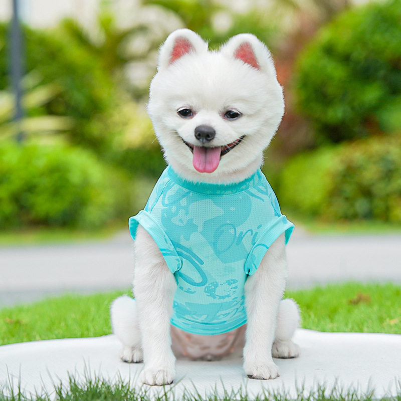 夏季狗狗冰丝背心带牵引扣小型犬猫咪凉凉衣泰迪比熊透气两脚背心