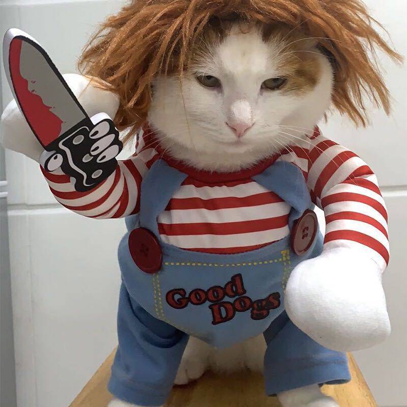 宠物搞笑衣服小狗恶搞衣服狗狗拿刀衣服比熊博美猫咪狗狗搞怪衣服