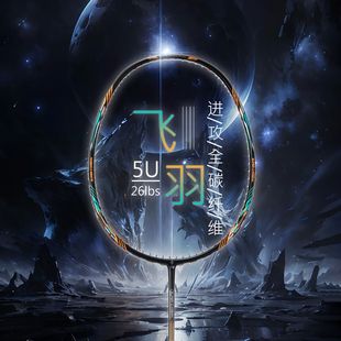 雷羽全碳素超轻羽毛球拍男女单双套装碳纤维攻防耐打成人专业批发