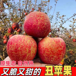 云南昭通苹果冰糖心丑苹果孕妇新鲜水果当季现摘脆甜整箱