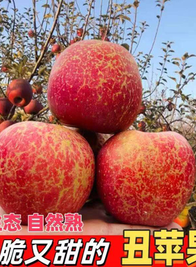 云南昭通苹果冰糖心丑苹果孕妇新鲜水果当季现摘脆甜整箱