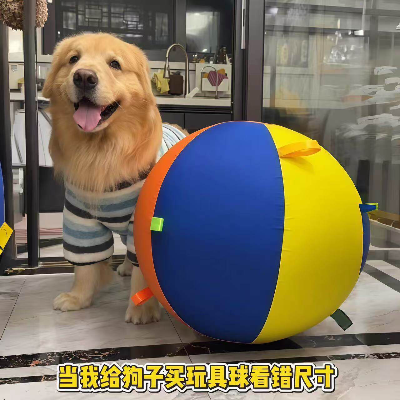 狗狗玩具超大充气玩具球中大型犬耐咬消耗体力自嗨解闷室外游戏球