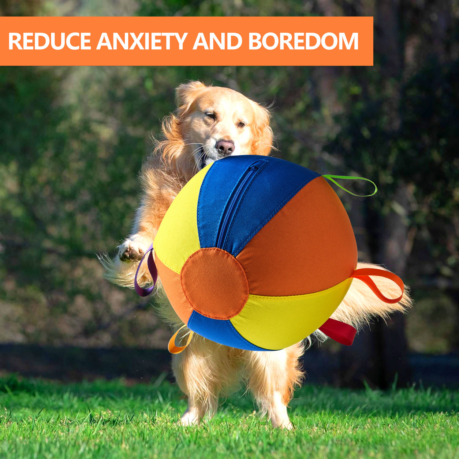 大狗狗巨型球玩具狗球边牧金毛耐咬球解闷球逗柴犬柯基自嗨宠物球