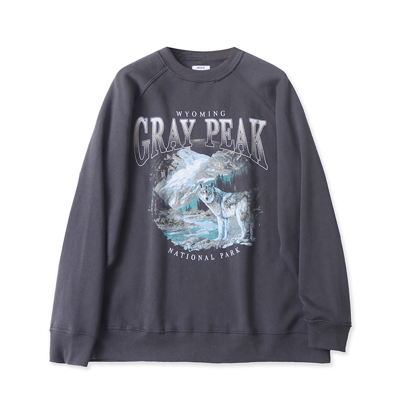 EE5855外贸欧美单学院风休闲卫衣新款圆领加绒印花宽松男生上衣