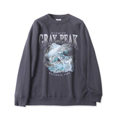 EE5855外贸欧美单学院风休闲卫衣新款 圆领加绒印花宽松男生上衣