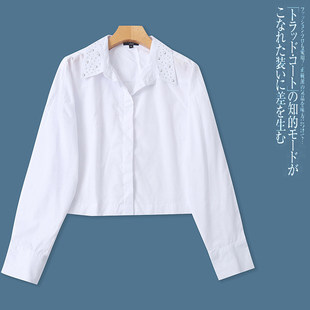 小香风气质短款 DD5620外贸欧美女士衬衫 翻领暗扣时尚 新款 衬衣 春季