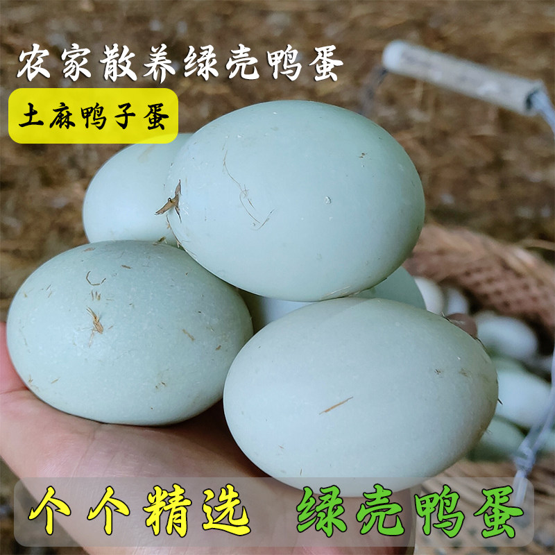 正宗绿壳土鸭蛋土麻鸭生绿皮鸭蛋