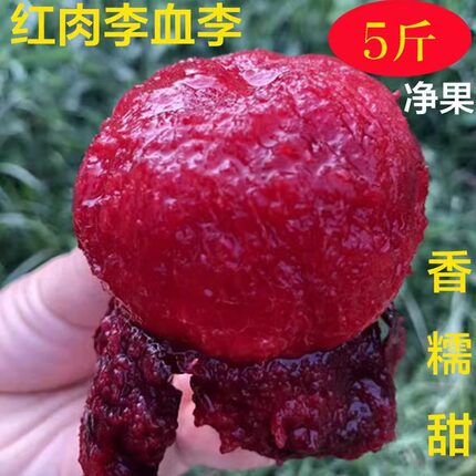 现货正发甜红心李子风味玫瑰血李黑布林孕妇新鲜水果胜三华李5斤