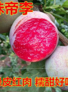 恐龙蛋红心李子味帝新鲜水果脆甜