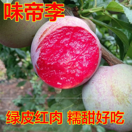 正在发货超甜红肉李味帝李三华红心李子新鲜现摘新鲜孕妇水果