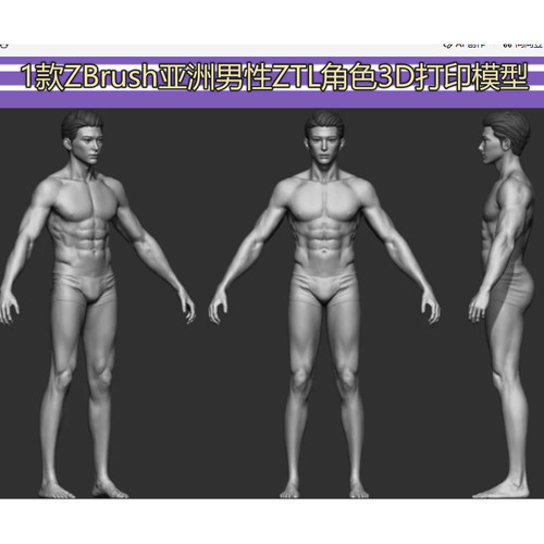 ZB亚洲男性出c4d角色身体blender亚洲人ZTL男人STL打印3D模型雕刻