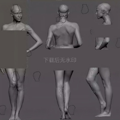 zbrush20个女性人体扫描设计素材/源文件