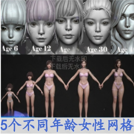 zbrush日韩女性基础3D模型ZB素材素体东方写实ztl高精度人体细分