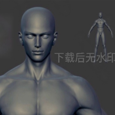zbrush亚洲男性肌肉腹肌角色细分zb雕刻人物素体素模3D模型未塌陷