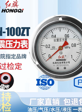 红旗仪表 耐震防震抗震轴向压力表YTN-100ZT充油压力表 真空