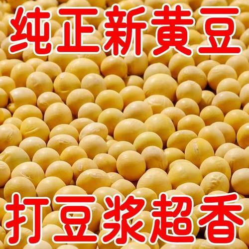 黑龙江农家新货高蛋白黄豆
