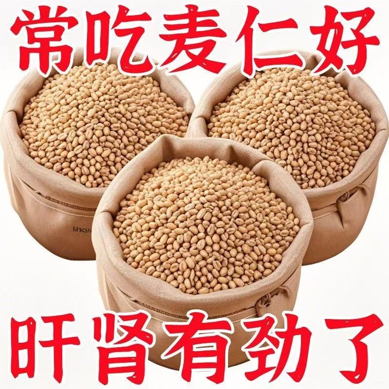 农家大麦仁优质脱壳大麦图片