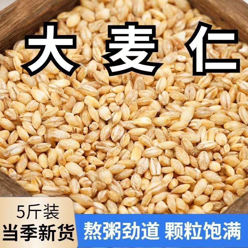 5斤去皮麦仁大麦仁新粮去壳煮粥农家熬粥杂粮五谷粗粮新米大麦米