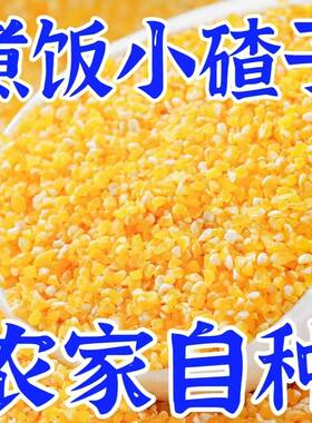 小碴子正宗玉米糁玉米碴子粥农家现磨超细粗粮秋冬进补玉米糁